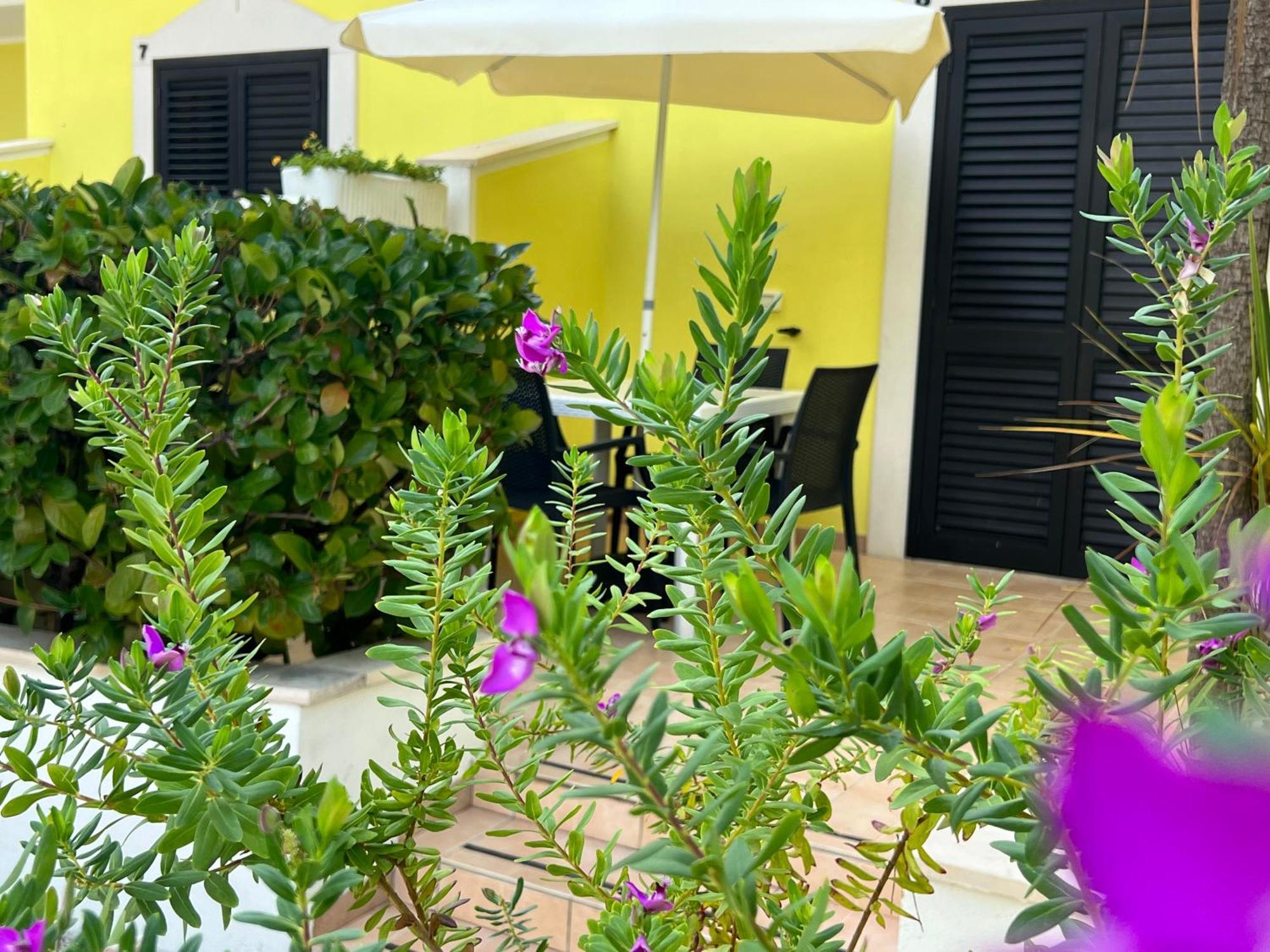 Argeste Club Vacanze Vieste Kültér fotó